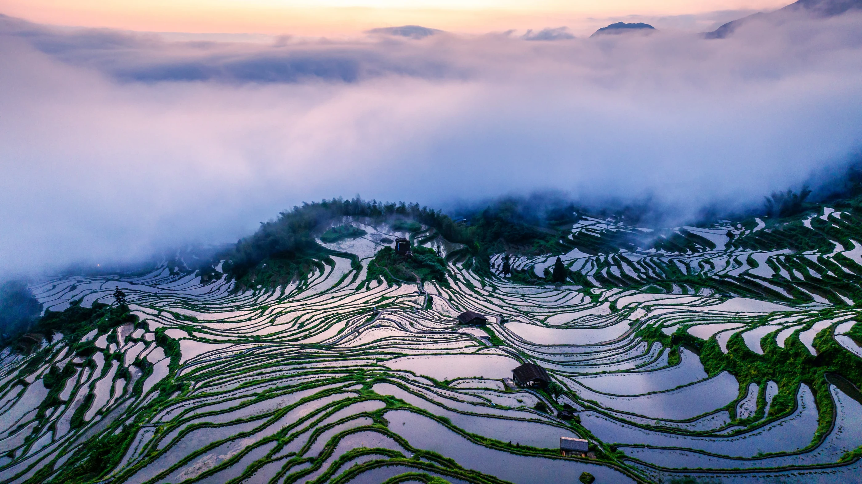 Mist over cultivated terraces in Zheng Wenjun’s portfolio.