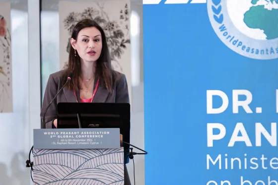 A contribution at the Cyprus forum lectern.