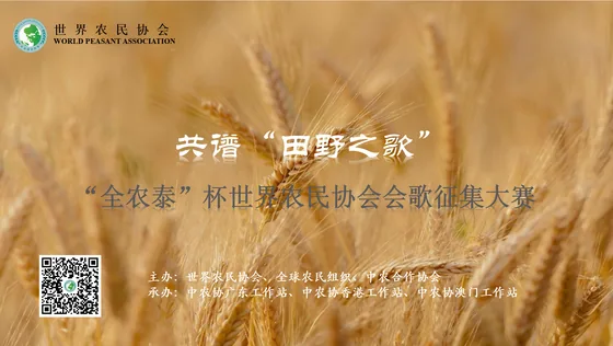 Wheat-field poster for the association anthem competition.