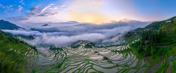 Terraces at Dawn, Yunhe, Zhejiang, photographed on 27 April 2024.