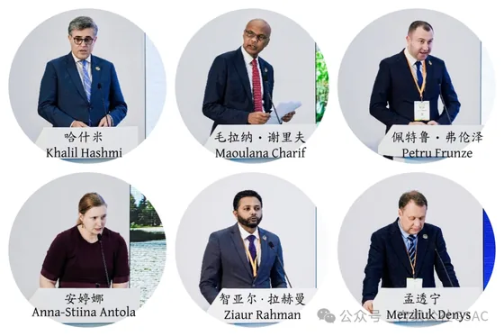 A published montage of international contributions to the Anhui forum.