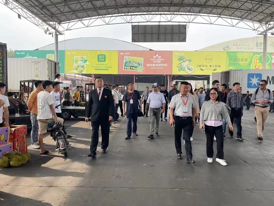 Forum participants accompanied during a visit to a covered market.