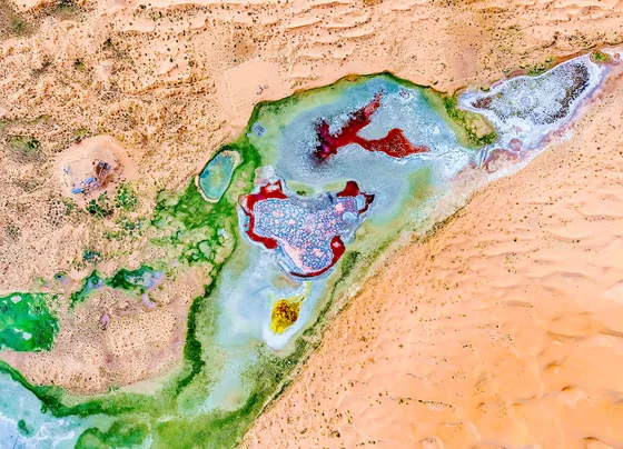 A colourful lake in the Tengger Desert, Inner Mongolia, 17 August 2024.