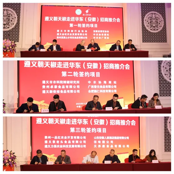 A published montage of cooperation signings during the promotion meeting.
