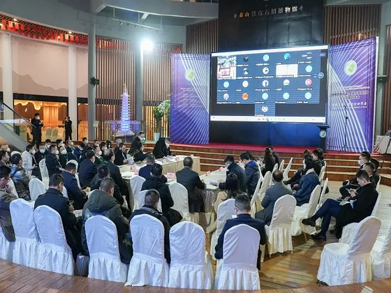 Participants join the conference with remote delegates displayed on screen.