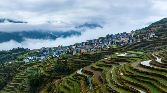A mountain village in Qingtian, Zhejiang, 29 March 2023.