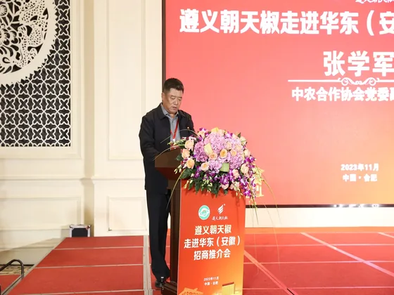 An association contribution to the Hefei promotion programme.
