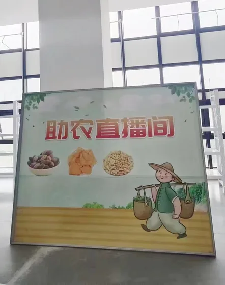 A farm-product live-streaming booth displays food imagery and a farmer illustration.