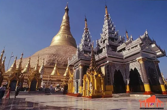 A golden pagoda and ornate temple buildings in Myanmar; contextual image accompanying the field-inquiry report.