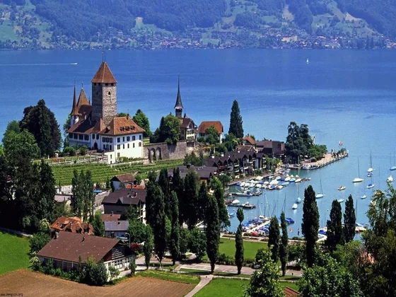 Illustrative lakeside landscape published with the forum-preparation report.