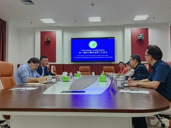 A second published view of the Executive Committee’s hybrid working meeting.