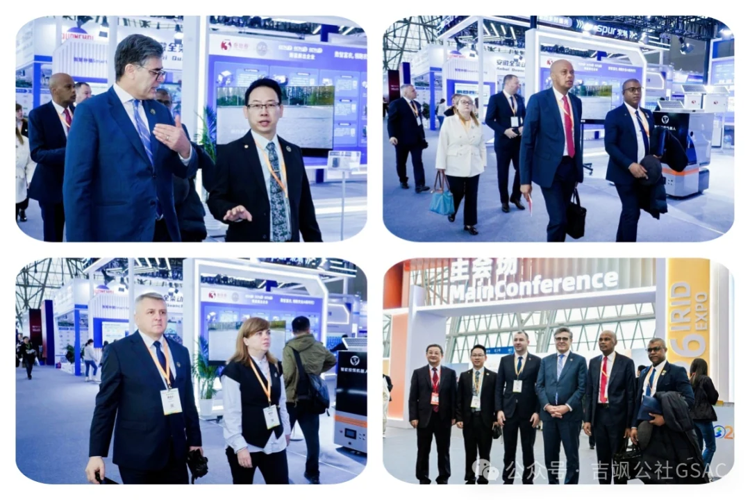 Delegation visit during the Anhui programme